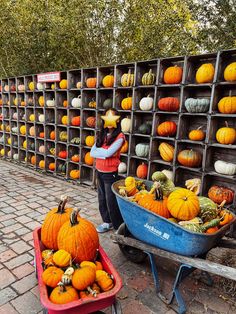 a woman pushing a wheelbarrow filled with lots of pumpkins on display in crates