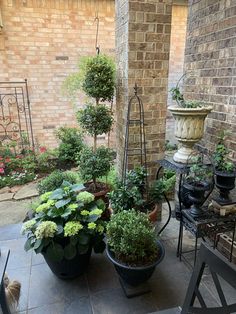 several potted plants are sitting on the patio