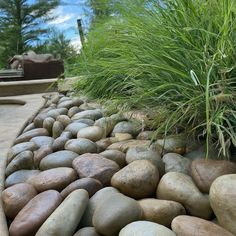 some rocks and grass in the middle of a garden