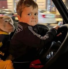 a little boy sitting in the driver's seat of a car next to a goat