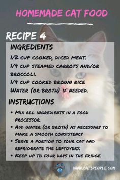 a recipe for homemade cat food with instructions on how to make it in the microwave