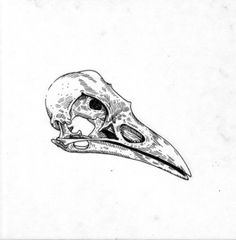 a drawing of a bird's head with a skull in the middle and an animal's beak