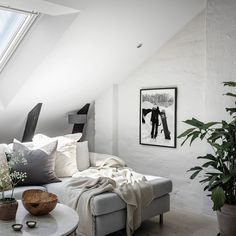 a white couch sitting under a window in a living room next to a potted plant