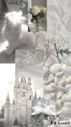 a collage of photos with white flowers and princess's castle in the background