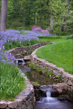 a stream running through a lush green forest filled with bluebells and wildflowers