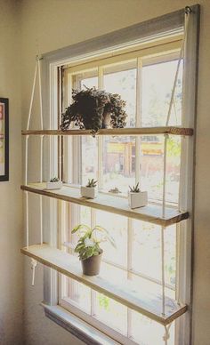 an image of a window with some plants on the windowsill and other things hanging in front of it