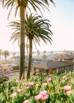 palm trees and pink flowers are in front of the house with ocean in the background