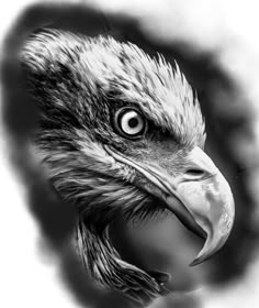 a black and white photo of an eagle's head with its beak open to the side