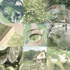 a collage of photos with green things in them