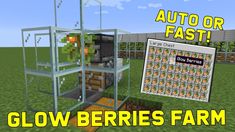 an image of a farm with the text auto or fast glow berries farm on it