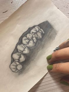 Dental Anatomy Drawing, Dental Restoration, Art Photography Portrait