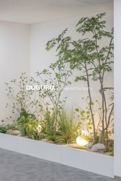 an indoor garden with trees and rocks in the center, surrounded by white walls that read digitu