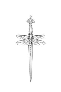 a black and white drawing of a dragonfly