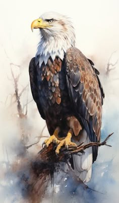 an eagle sitting on top of a tree branch