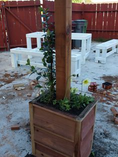 a tall wooden planter with plants growing out of it