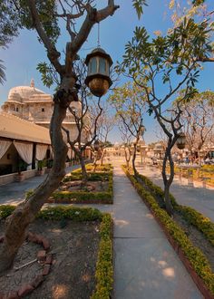 the walkway is lined with trees and bushes