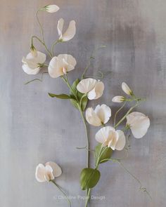 some white flowers are in a vase on a gray tablecloth and the wall is painted grey