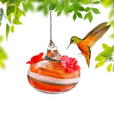 a hummingbird flying towards a red glass ornament hanging from a tree branch