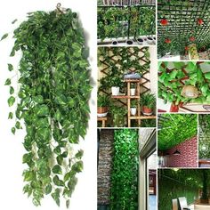 Specification: Type:Artificial Ivy Garland Material:Plastic Color:Green Quantity: 1Pcs, 2Pcs Total Length:94cm/37inch Product Size:26x16x3.5cm Package included: 1/2 Pcs x Artificial Ivy Garland Notice: 1.Please allow 1-5cm error due to manual measurement and make sure you do not mind before ordering. 2.Please understand that colors may exist chromatic aberration as the different placement of pictures. Vines For Bedroom, Fake Vines, Fake Ivy, Ivy Garland, Artificial Hanging Plants, Ivy Vine, Ivy Leaves, Hanging Garland, Fake Flower