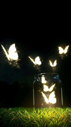 glowing butterflies in a jar on grass at night with light coming from the top and behind it