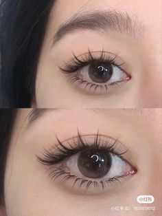 Reign with Grace Using These Women's Eyelash Extension Styles Eyelash Extension Styles, Cat Eyelashes, Extension Styles, Asian Makeup Looks, Beauty Hacks Nails