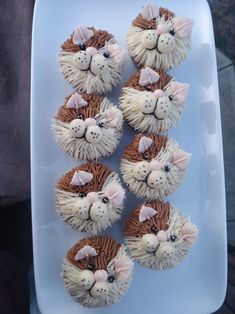 some cupcakes with icing on top of a white plate in the shape of cats