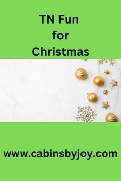 the words tn fun for christmas on a green and white background with gold ornaments around it