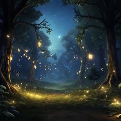 a forest filled with lots of lights in the middle of it's night time