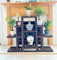 an arrangement of potted plants in front of a fireplace