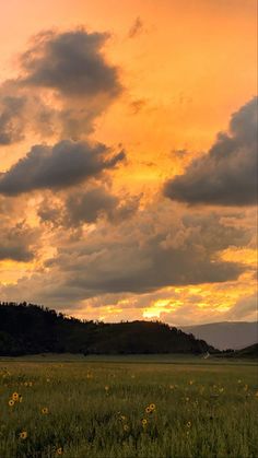 the sky is filled with clouds as the sun sets over a field full of wildflowers