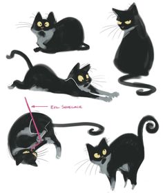 four black cats with yellow eyes are shown in three different positions, one is laying down and the other is standing up