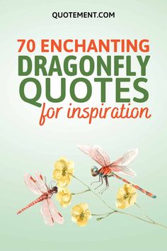 dragonflys and yellow flowers with the words, 70 enchanting dragonfly quotes for