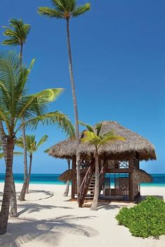 a hut on the beach with palm trees