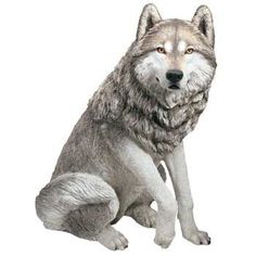 life size resin large gray wolf statue Largest Wolf, Wolf Sculpture, Dog Husky, Gray Wolf, Wild Wolf, Grey Wolf, Animal Statues, Wolf Art, Outdoor Statues