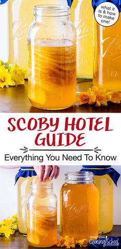 two mason jars filled with yellow liquid and the words, scopy hotel guide everything you need to know