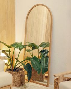 a mirror sitting next to a plant in a basket