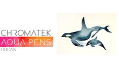 two watercolor paintings of birds flying in the air with words above them that read chromatek aqua pens orca's