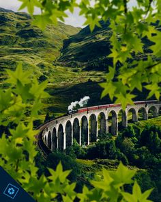 a train traveling over a bridge on top of a lush green hillside