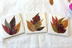 three coasters with leaves painted on them sitting on a table next to a cup