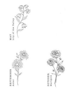 four different flowers are shown in black and white, with the words written below them