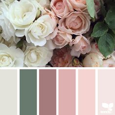 a bunch of flowers that are sitting in the middle of a color palette with different shades