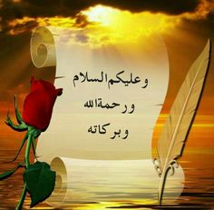 a red rose sitting on top of a feather next to an open book with arabic writing