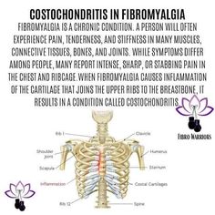 Fibro Warrior, Thyroid Health, Medical Knowledge, Chronic Condition, June 1