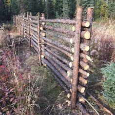 a fence made out of logs in the woods