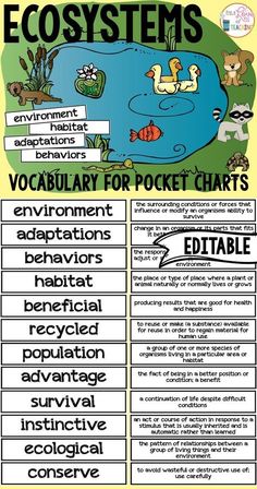 a poster with words describing the different types of animals and plants in each country's environment