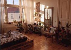 a living room filled with furniture and lots of plants on the windows sills