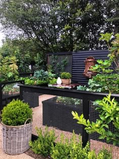 an outdoor garden area with various plants and potted plants on the fenced in area