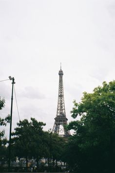 the eiffel tower towering over trees on a cloudy day