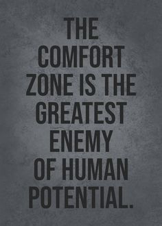 the comfort zone is the greatest enemy of human potential quote on grey background with black lettering