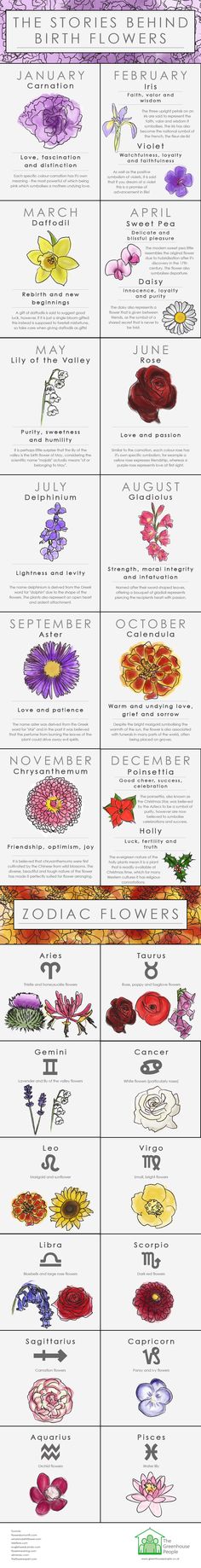 the different types of flowers and their names